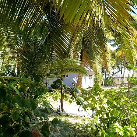 Chez Gigi - Eco Lodge Mahahual Eksteriør bilde