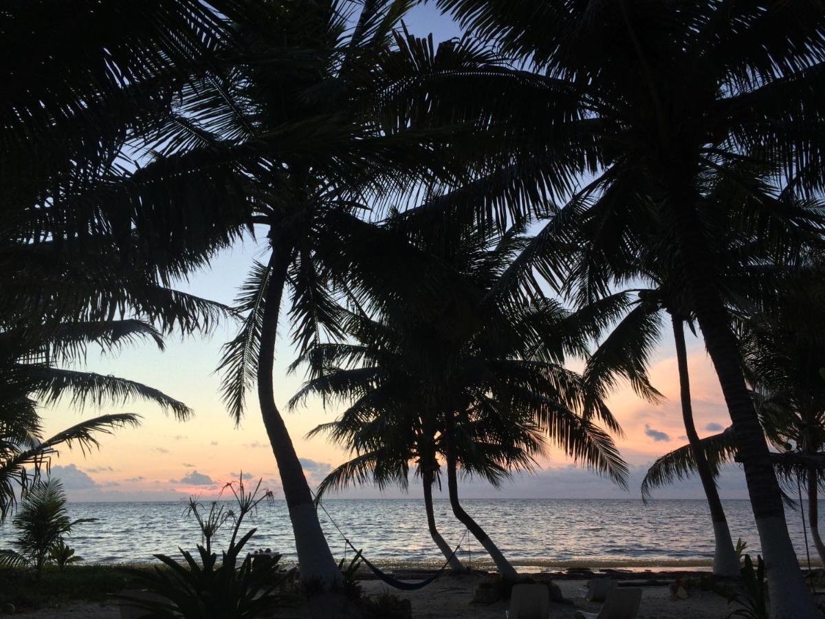 Chez Gigi - Eco Lodge Mahahual Eksteriør bilde
