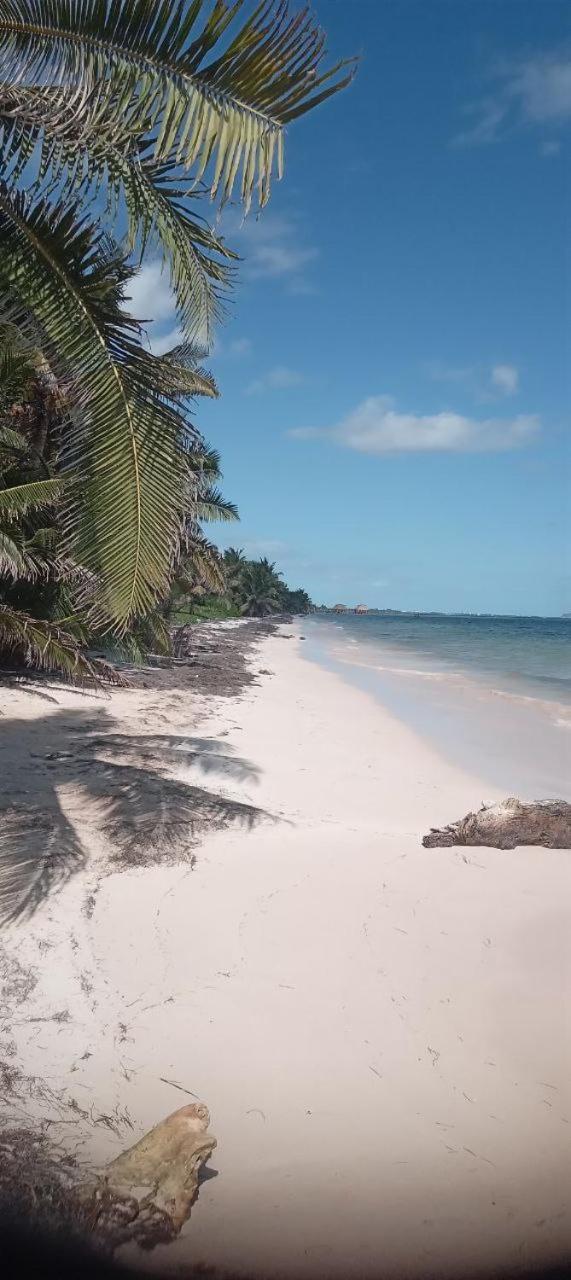 Chez Gigi - Eco Lodge Mahahual Eksteriør bilde