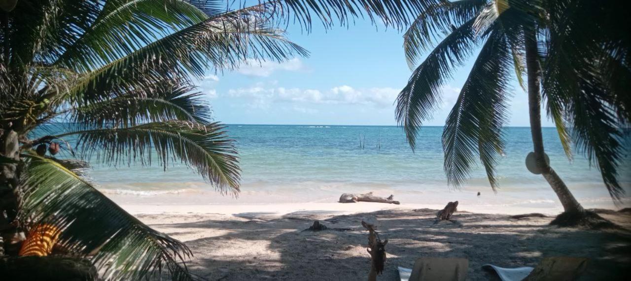 Chez Gigi - Eco Lodge Mahahual Eksteriør bilde