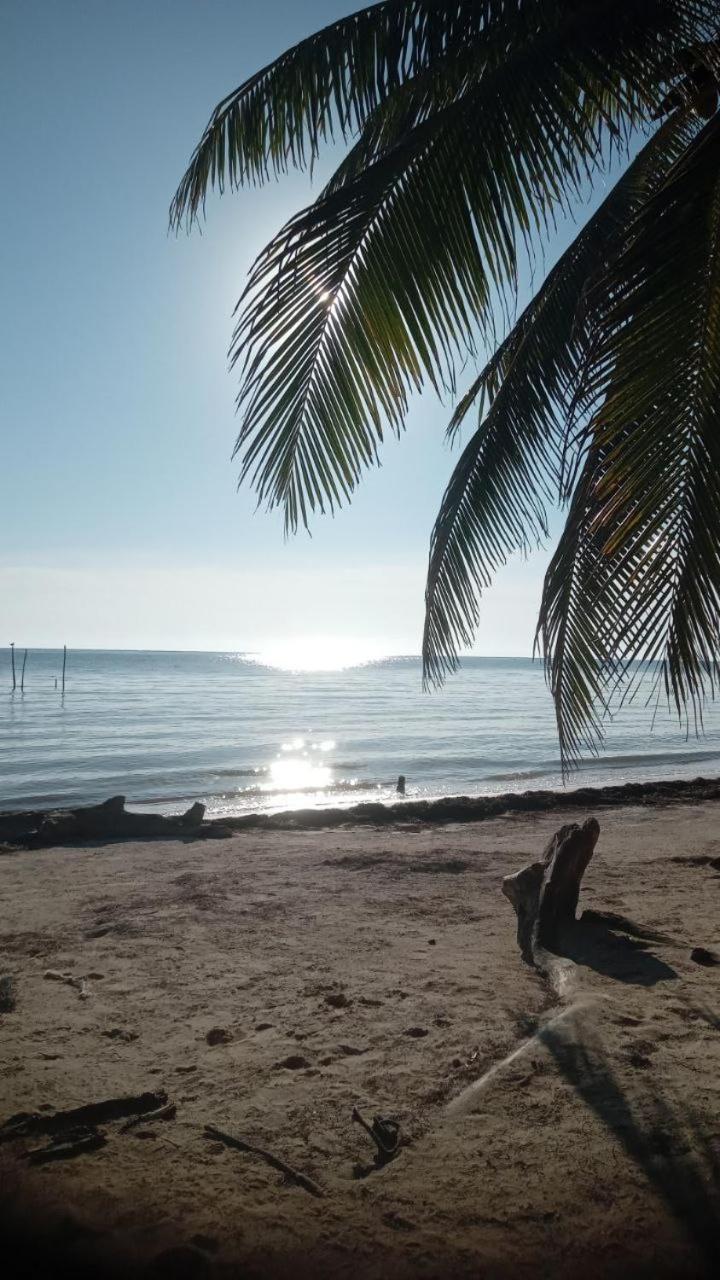 Chez Gigi - Eco Lodge Mahahual Eksteriør bilde