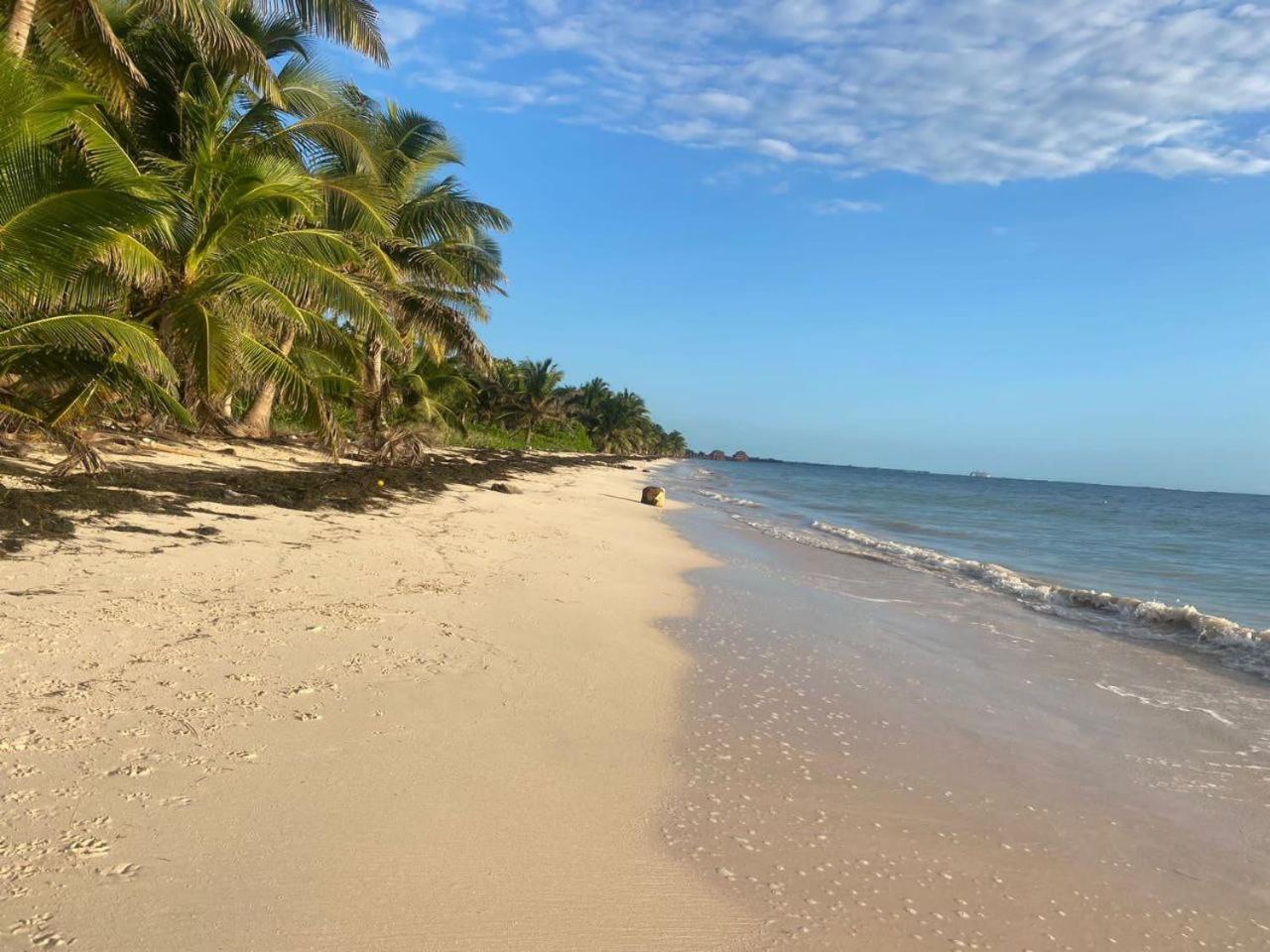 Chez Gigi - Eco Lodge Mahahual Eksteriør bilde