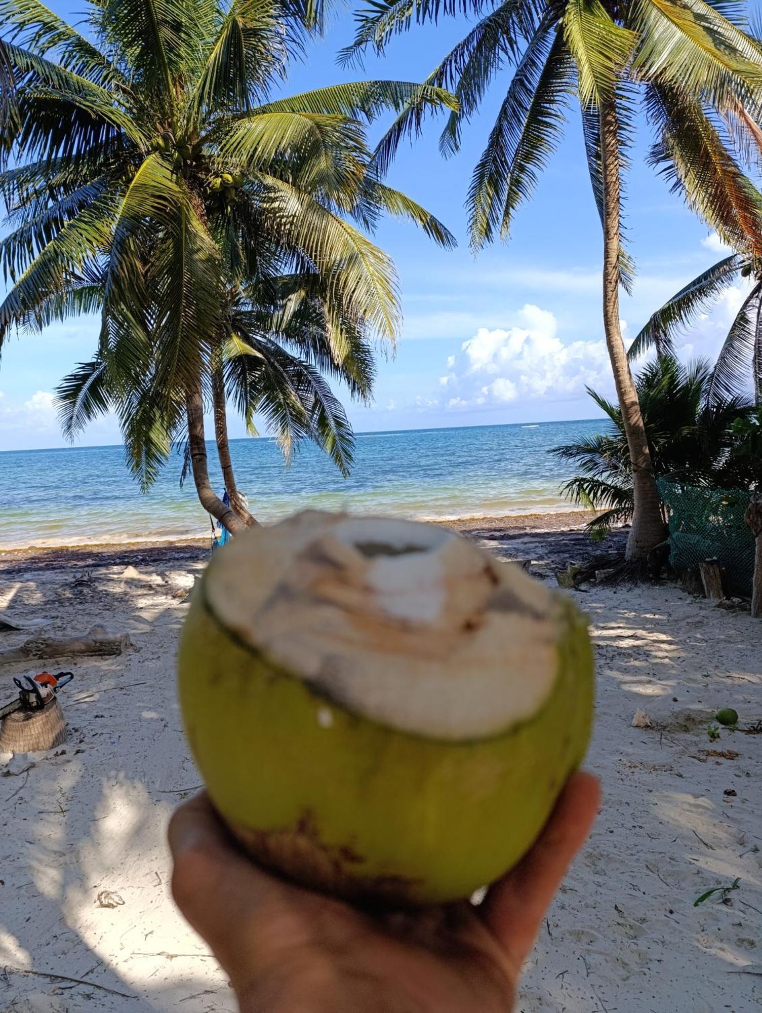 Chez Gigi - Eco Lodge Mahahual Eksteriør bilde
