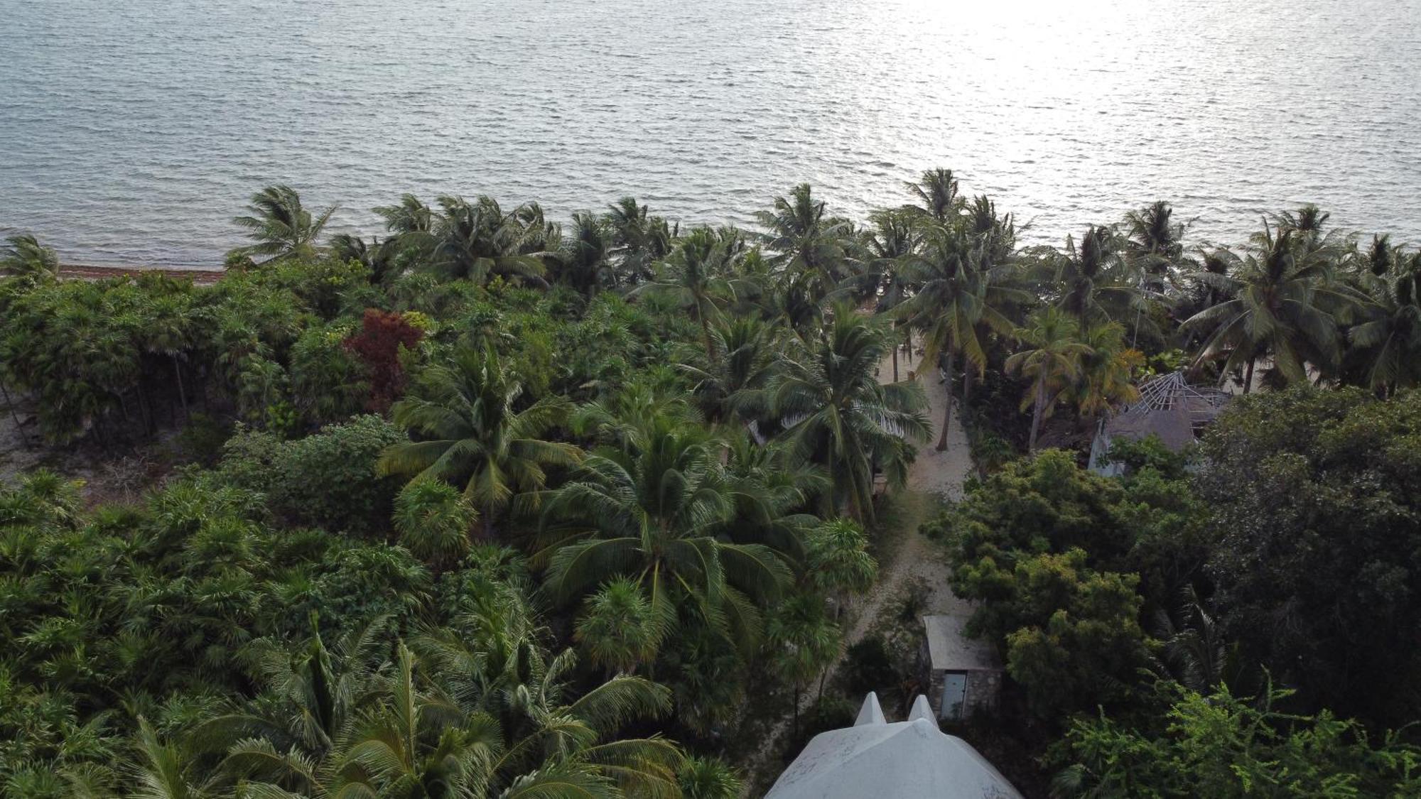 Chez Gigi - Eco Lodge Mahahual Eksteriør bilde