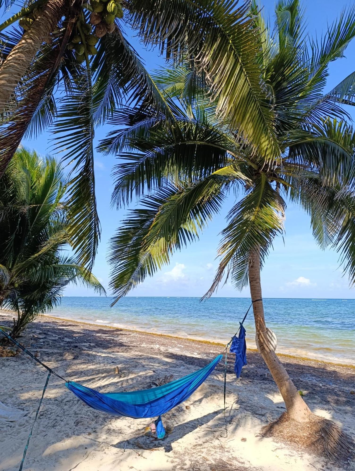 Chez Gigi - Eco Lodge Mahahual Eksteriør bilde
