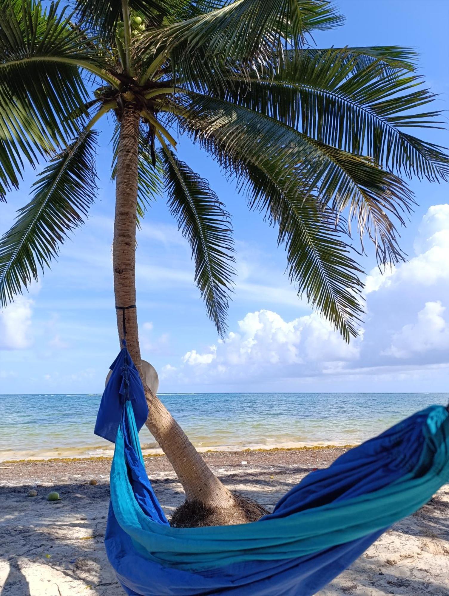Chez Gigi - Eco Lodge Mahahual Eksteriør bilde