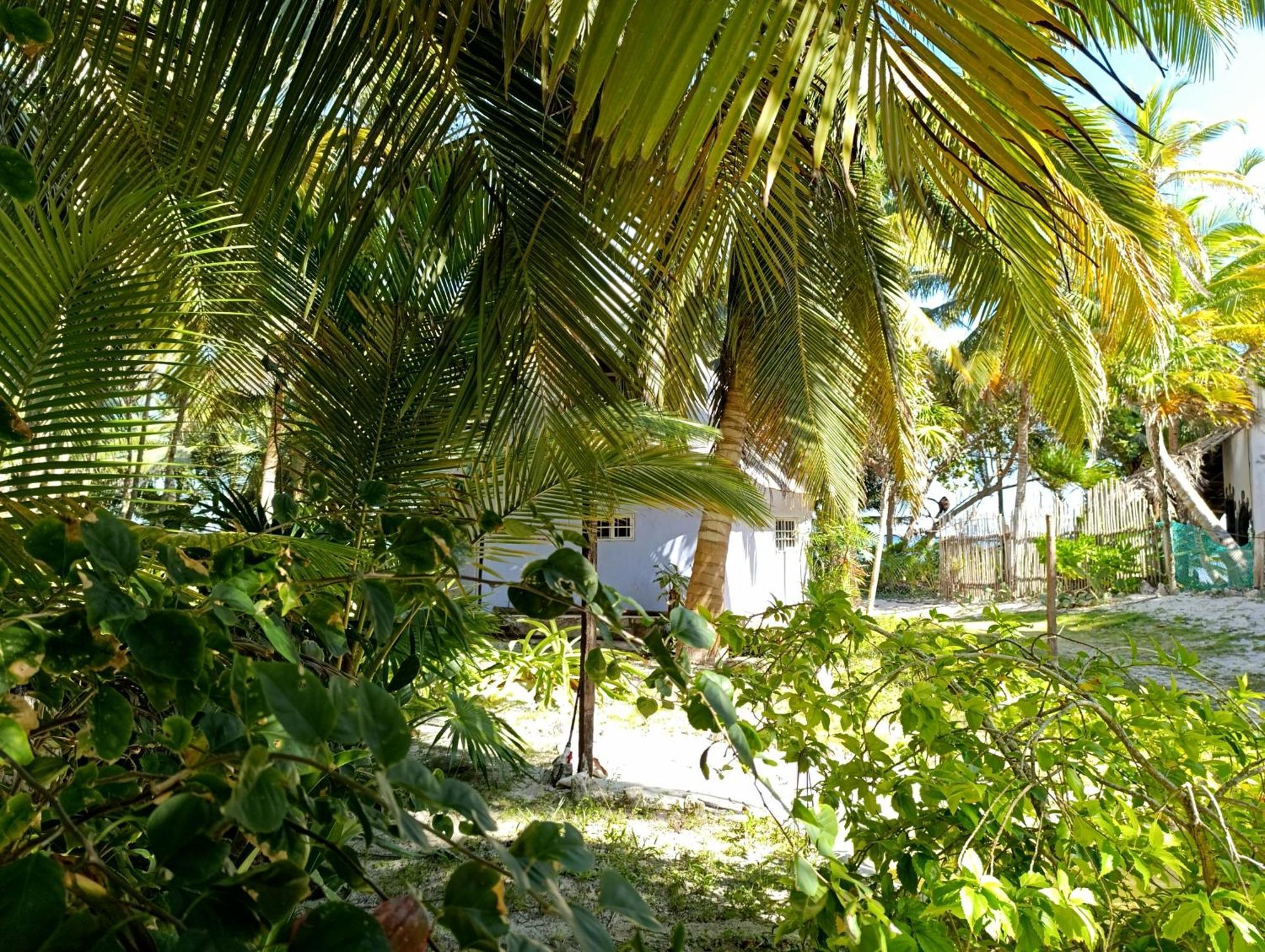 Chez Gigi - Eco Lodge Mahahual Eksteriør bilde