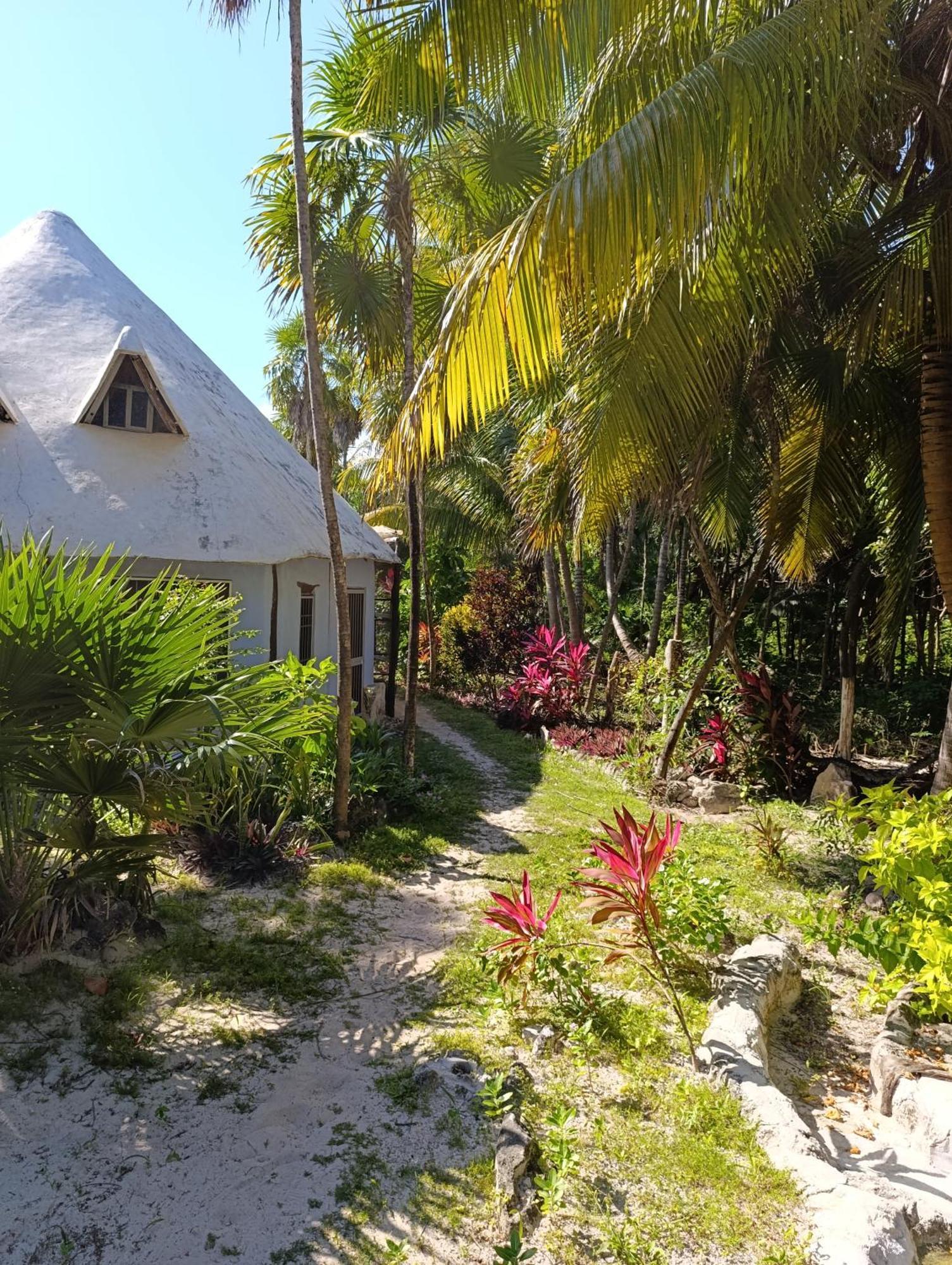 Chez Gigi - Eco Lodge Mahahual Eksteriør bilde