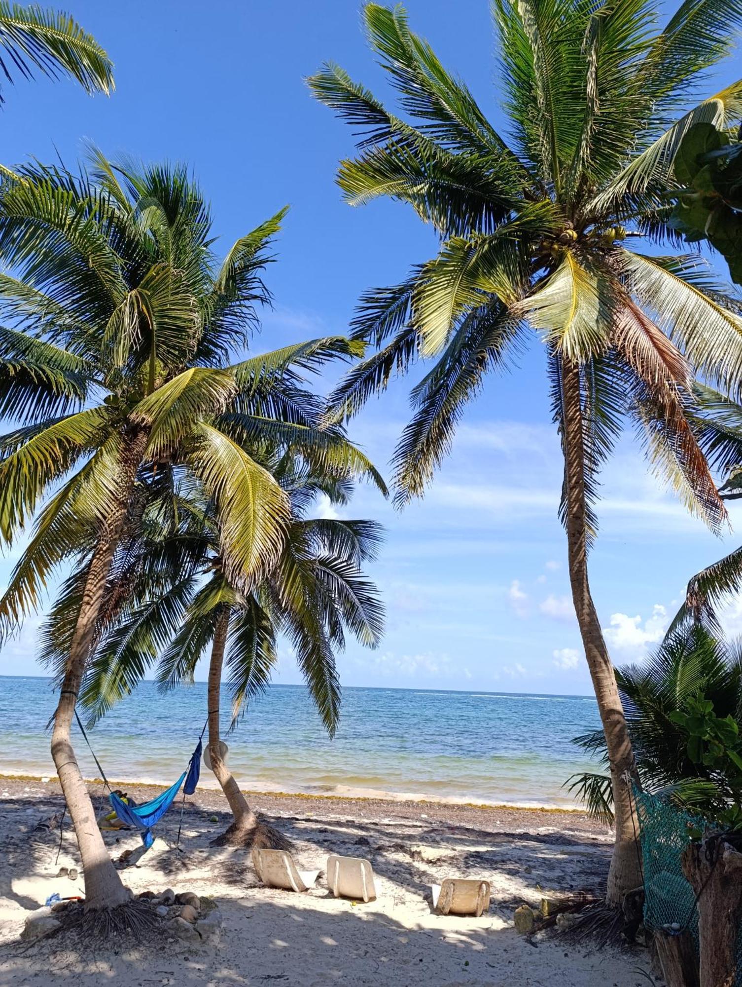 Chez Gigi - Eco Lodge Mahahual Eksteriør bilde