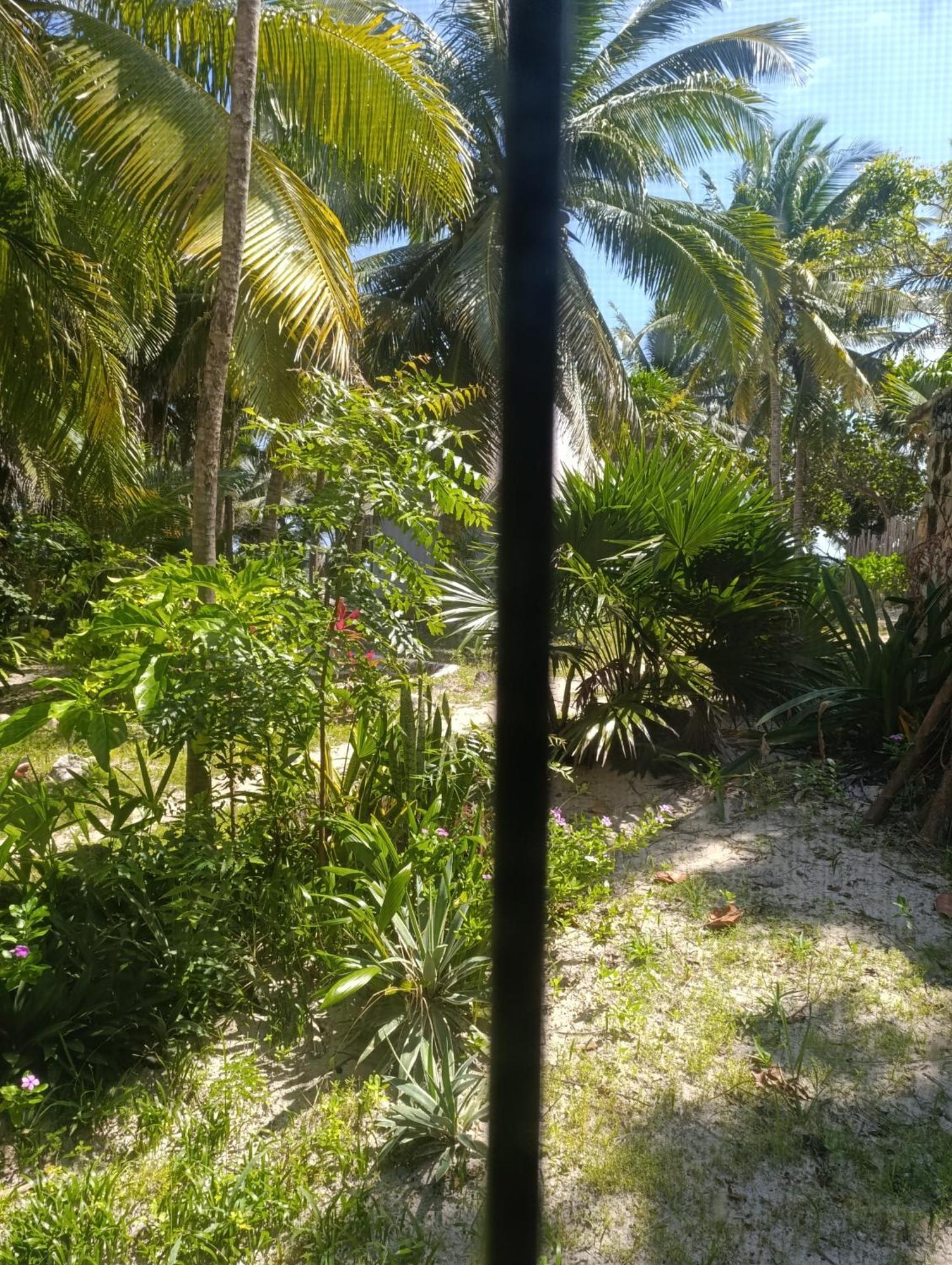 Chez Gigi - Eco Lodge Mahahual Eksteriør bilde