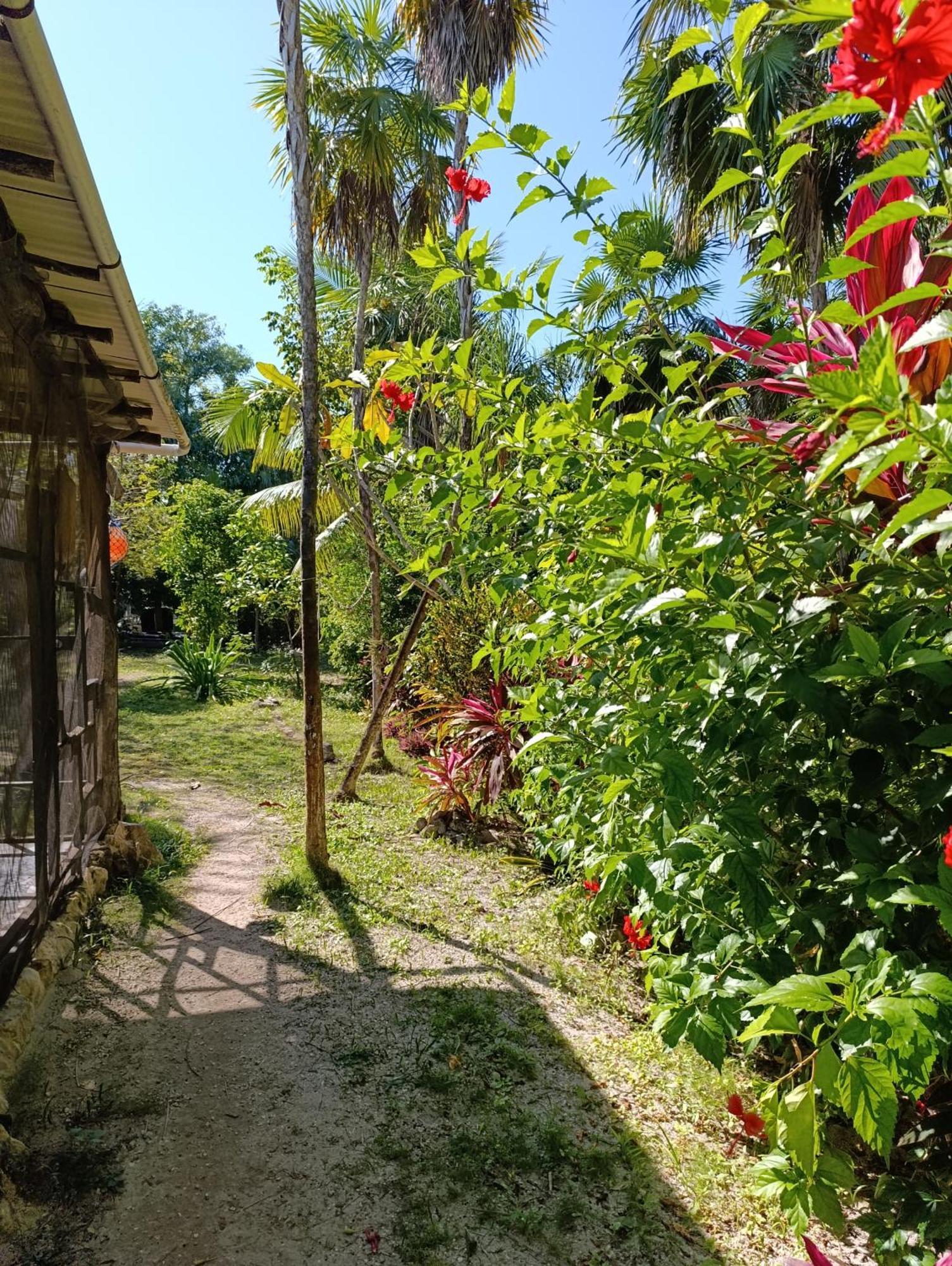 Chez Gigi - Eco Lodge Mahahual Eksteriør bilde