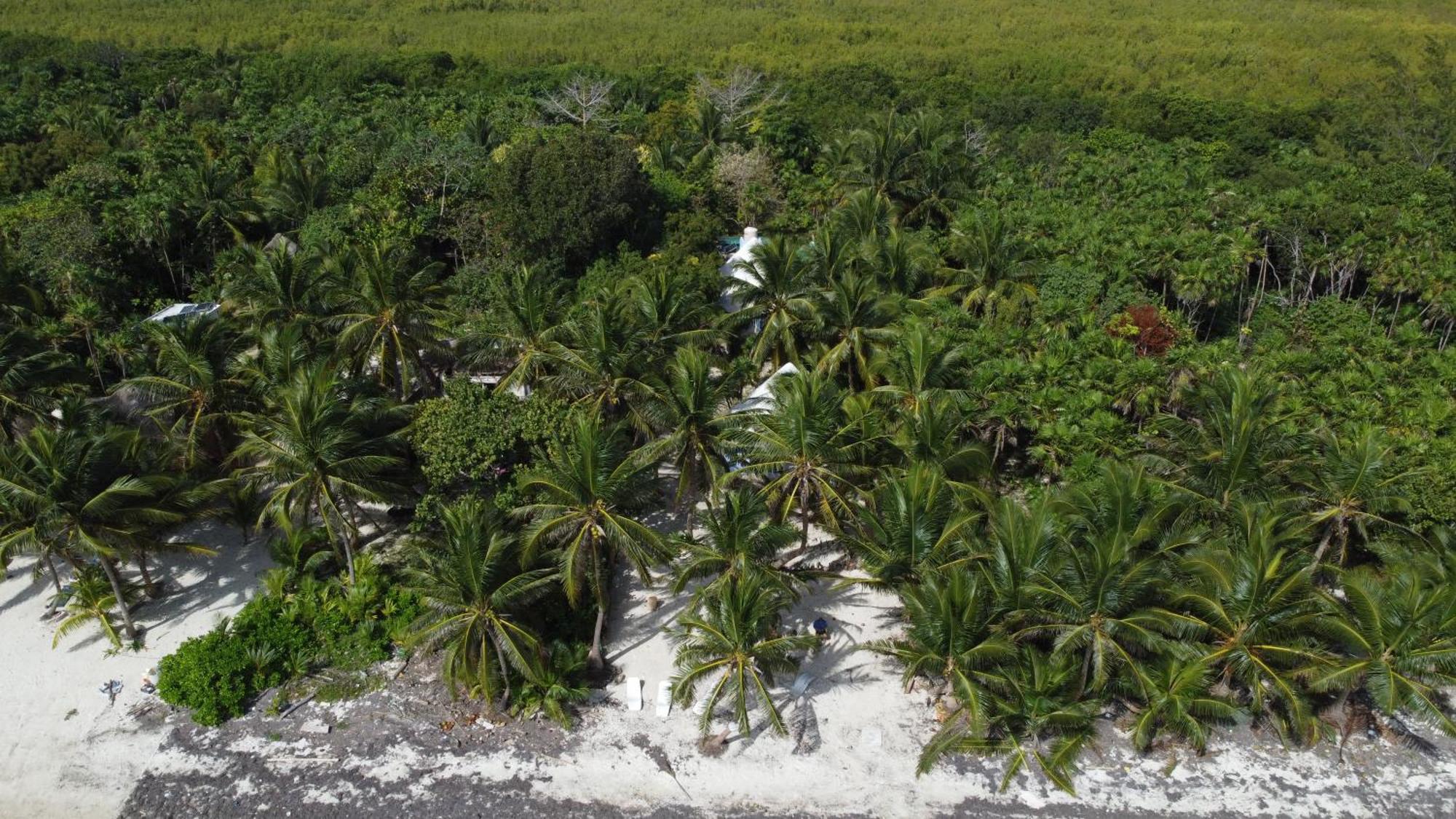 Chez Gigi - Eco Lodge Mahahual Eksteriør bilde