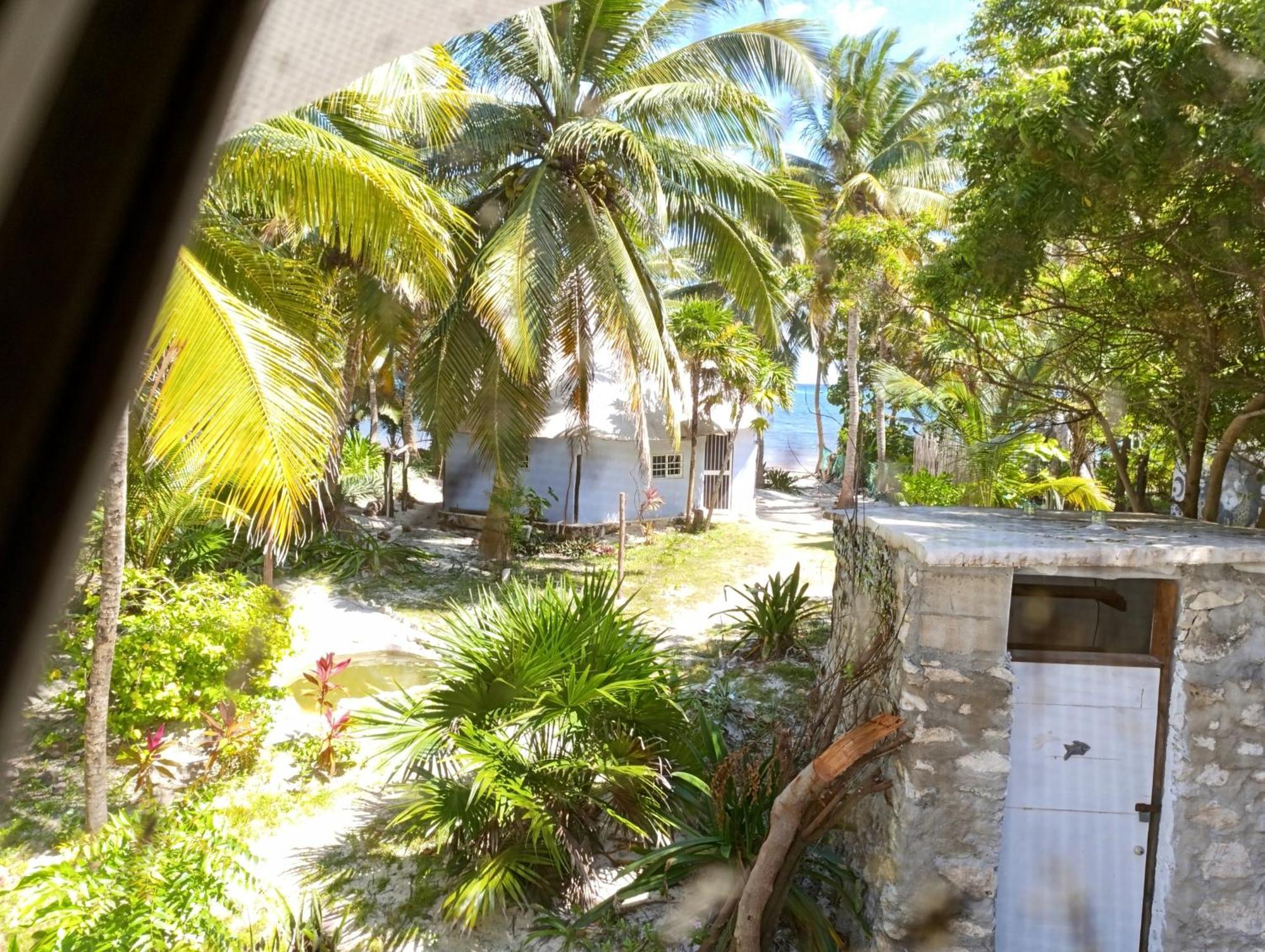 Chez Gigi - Eco Lodge Mahahual Eksteriør bilde